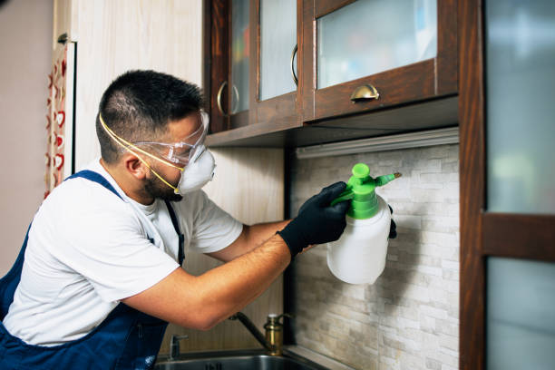 Best Insect Control  in Bel Air North, MD