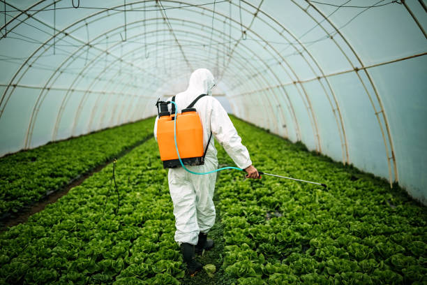 Best Best Pest Control Companies  in Bel Air North, MD