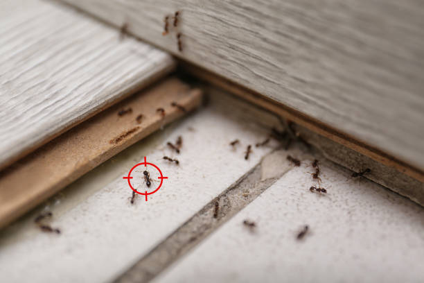 Best Commercial Pest Control Services  in Bel Air North, MD