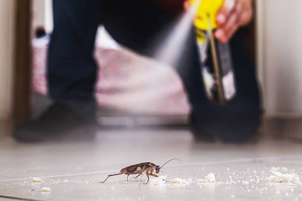 Best Residential Pest Control  in Bel Air North, MD